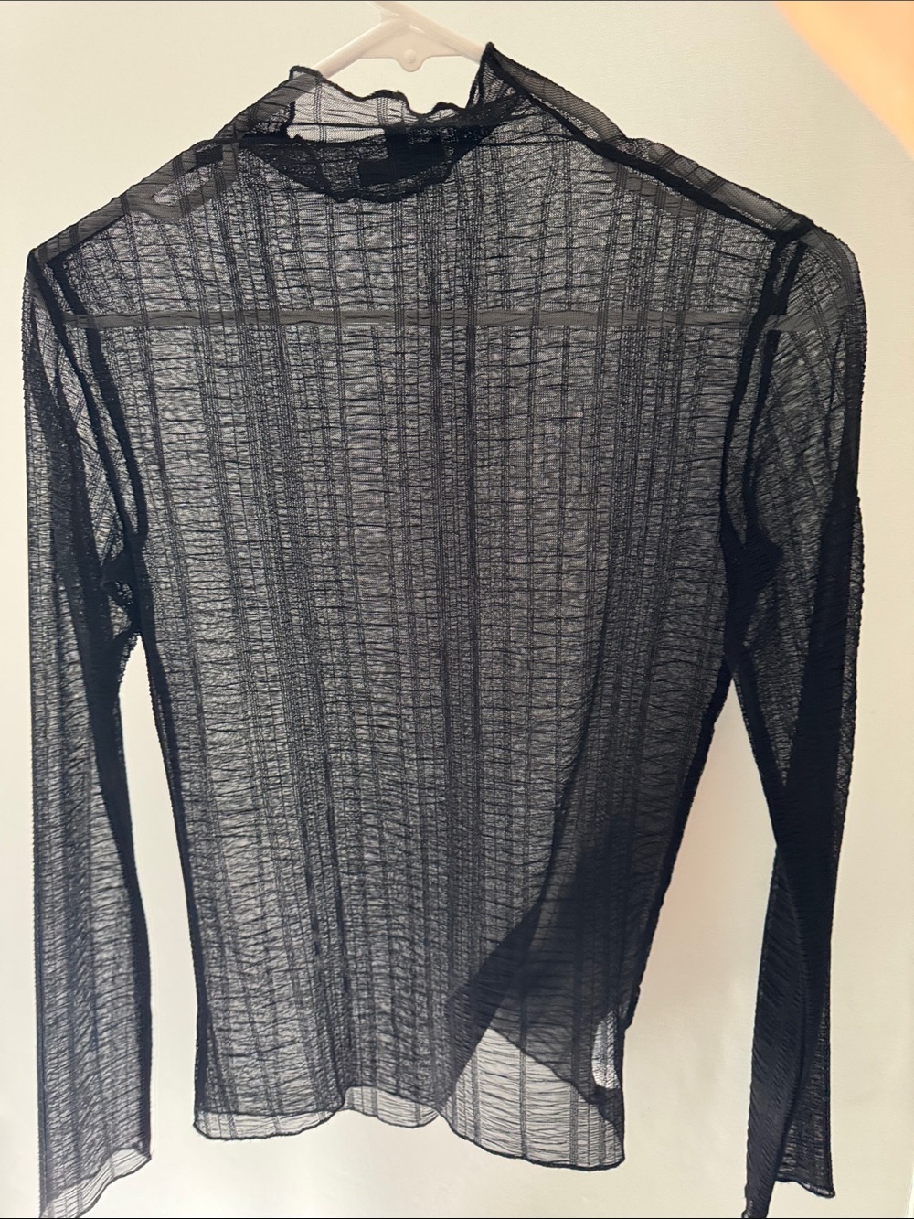 Dynamite Sheer Black Long-Sleeve Mock Neck Top